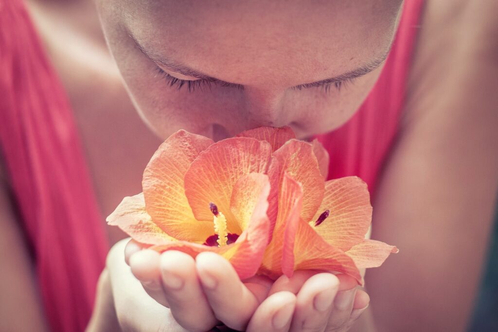 Alzheimer’s gene risks early onset smell loss, research shows