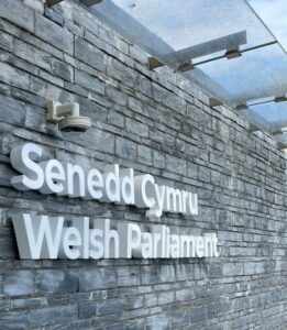 Welsh government announces 20% rise in adult care charge cap