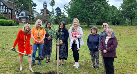 Cllr Carol Bulman, Lead Member for Children and Families at Cheshire East Council, plants a tree to commemorate local foster carers