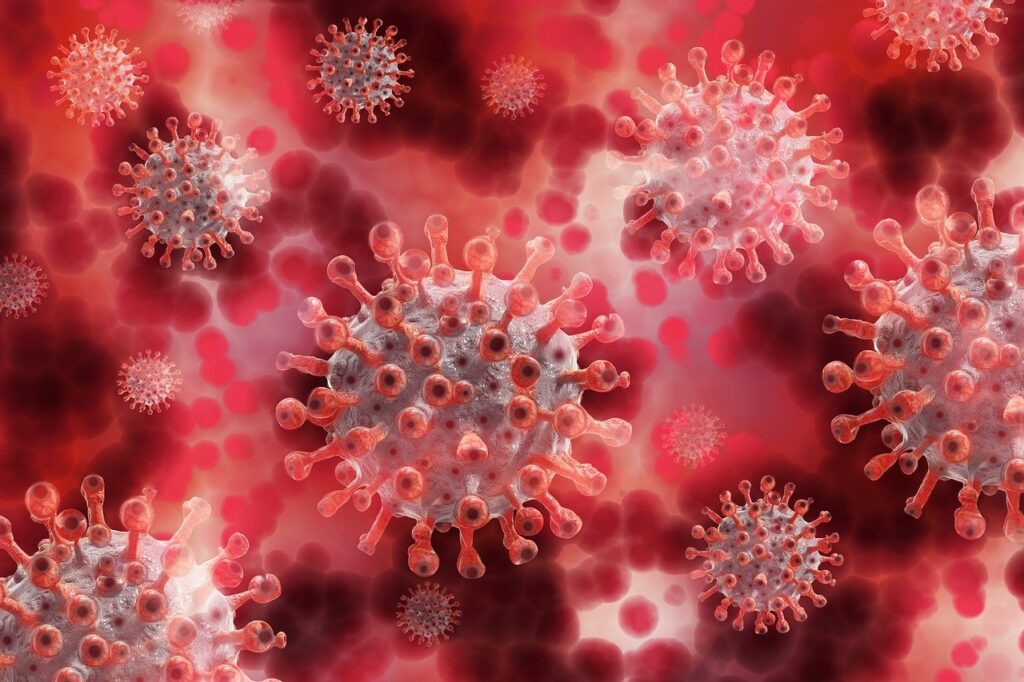 coronavirus, virus, plasma