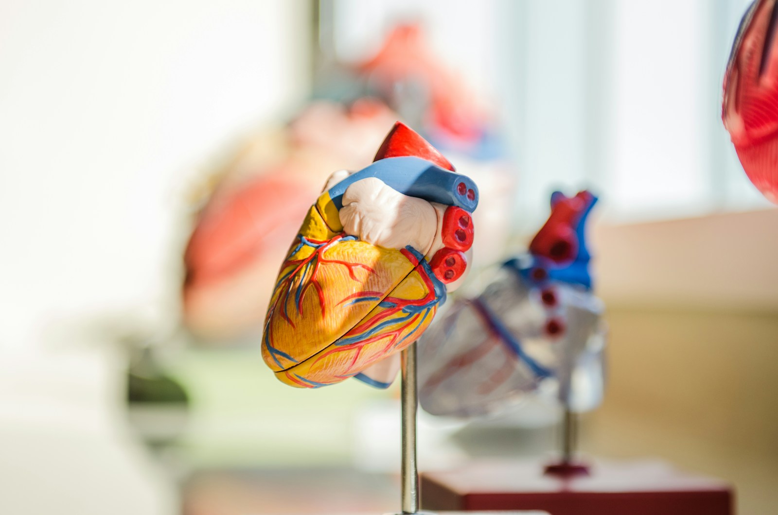 New research could prevent life-threatening heart arrhythmias