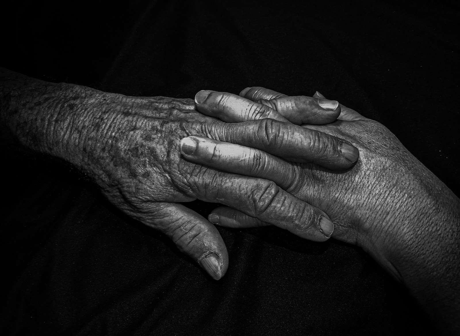 Partnership aims to transform dementia’s end-of-life care