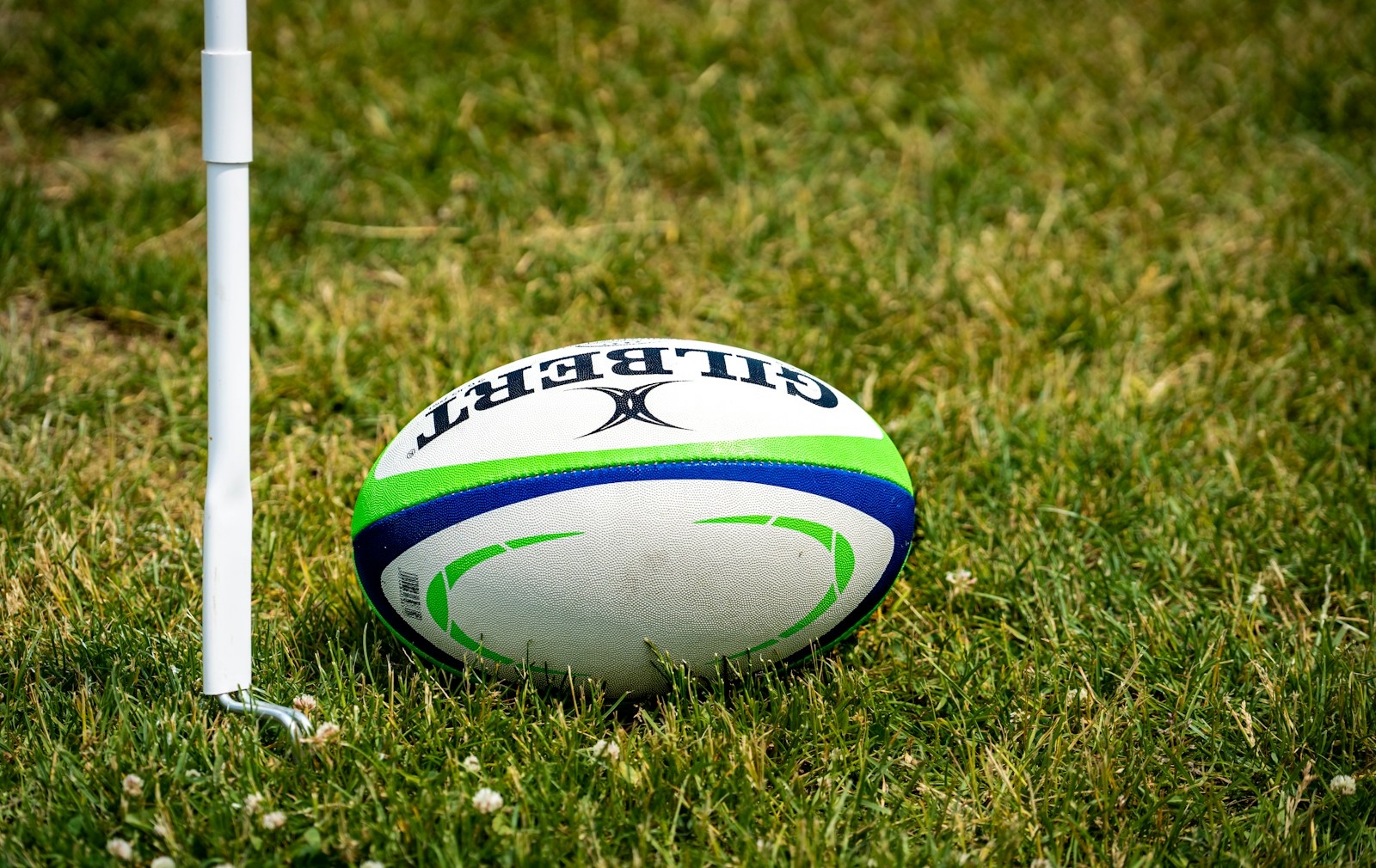 Mental health training extended to Welsh rugby clubs