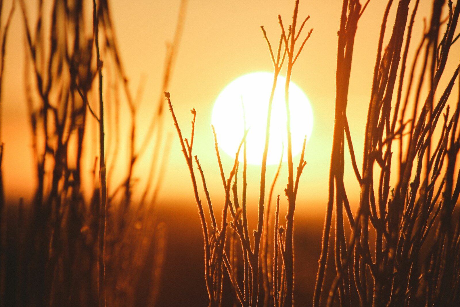 Heatwave again!  UKHSA issues amber warnings
