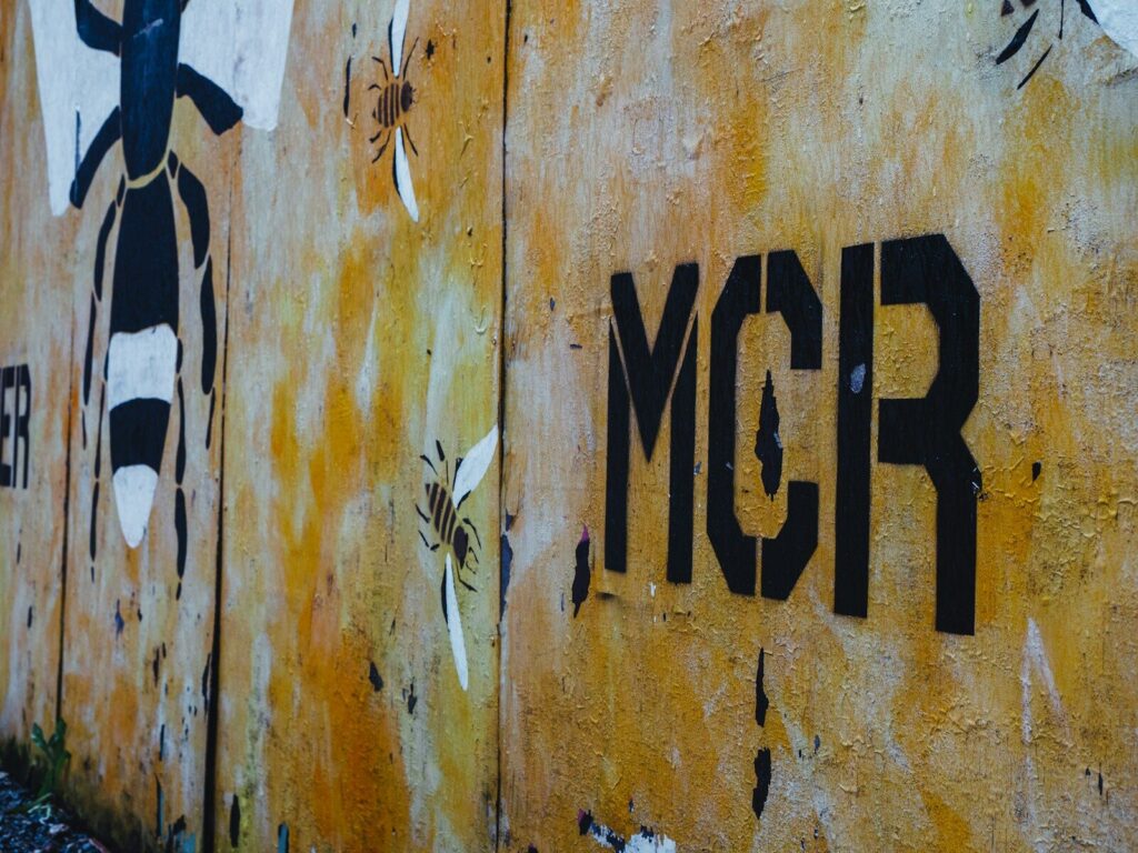Greater Manchester mental health pilot for children in care